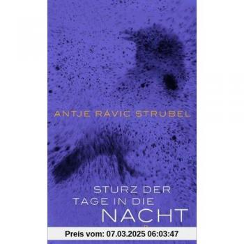 Sturz der Tage in die Nacht | Antje Rávik Strubel
