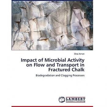 Impact of Microbial Activity on Flow and Transport in Fractured Chalk: Biodegradation and Clogging Processes