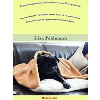 Lisa Feldmann Entspannungsmethoden Für Assistenz