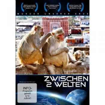 Wunder unserer Erde