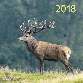 2018 Forest and Meadow Animals Grid Calendar