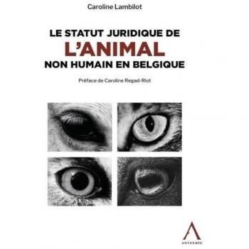 Le statut juridique de l'animal non humain en Belgique