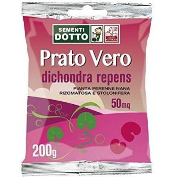 Piante di Prato Dichondra Repens – Sdd 40030050 Verde 12×20×2 cm
