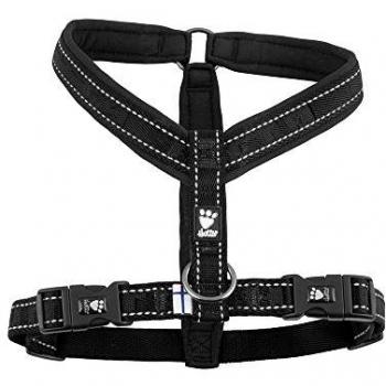 Set Collare e Guinzaglio Hurtta Y-sele Corvo 45 cm
