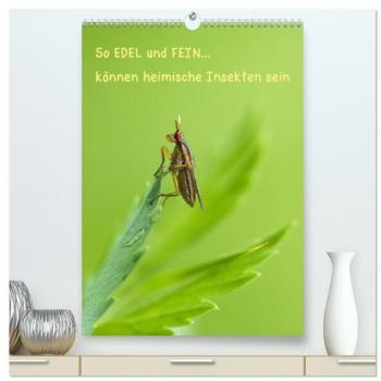 So EDEL und FEIN... können heimische Insekten sein (hochwertiger Premium Wandkalender 2024 DIN A2 hoch) Kunstdruck in Hochglanz