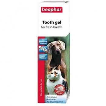 Dog Dental Kit Tooth Gel