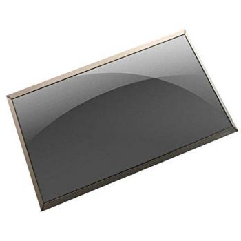 Dell 15.6 Antiglare LCD Display LVDS C0T2R