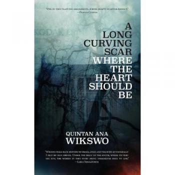 A Long Curving Scar Where The Heart Should Be