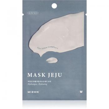 Jeju Hydrangea Mask – 23 g de Suavidad y Brillo