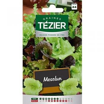 Tezier