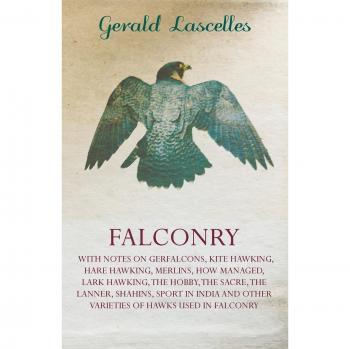 Lascelles, Gerald: Falconry;With Notes on Gerfalcons, Kite Hawking, Hare Hawking, Merlins, How Managed, Lark Hawking, The Hobby, The Sacre, The Lanner, Shahins, Sport in India and Other Varieties of Hawks Used in Falconry