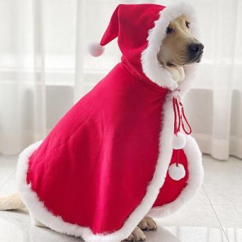 Abrigo para perro Labrador