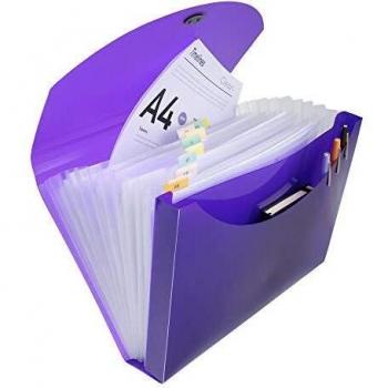 Trieur valisette Exacompta Iderma 33 x 25 cm