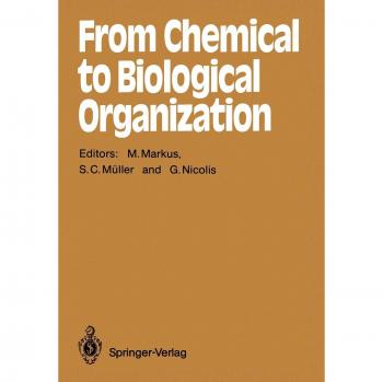 From Chemical to Biological Organization