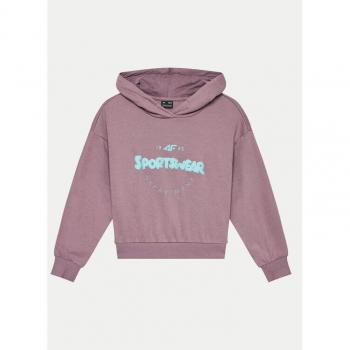 4F Freizeit Sweatshirt Regular Fit