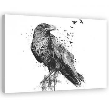 Impresión de Pássaro en Blanco y Negro 60x40