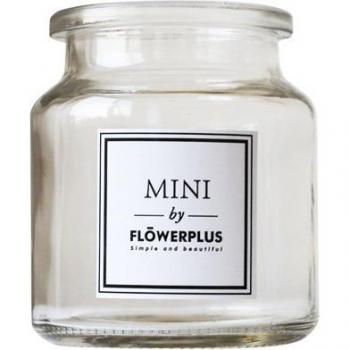 Glass Flower Vase for Living Room