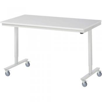 RAU Electric Mobile Workbench with Adjustable Height