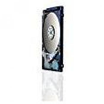 HGST Travelstar 500 Go disque dur