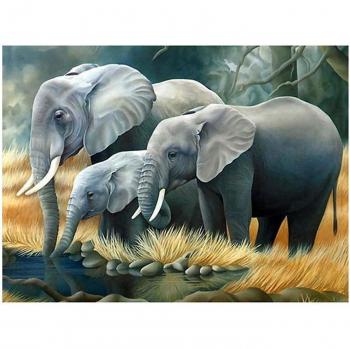 Puzzles Créatifs pour Enfants et Adultes