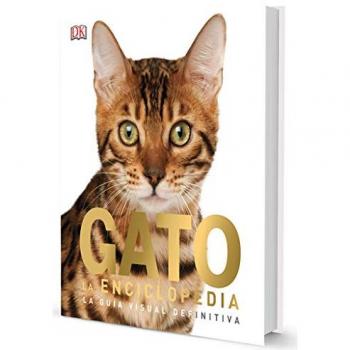 Gato