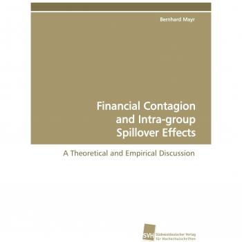 Financial Contagion and Intra-group Spillover Effects: A Theoretical and Empirical Discussion