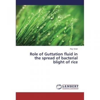 Role of Guttation fluid in the spread of bacterial blight of rice