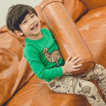 Kids Cotton Blend Dinosaur Thermal Two-Piece Set