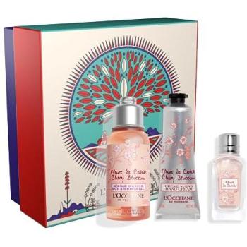 Coffret Éveil aux Fleurs de Cerisier