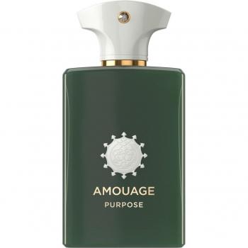 Amouage Purpose EDP Spray, 100ml, for men and women