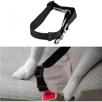 Clip de Seguridad para Mascotas en Vehículo