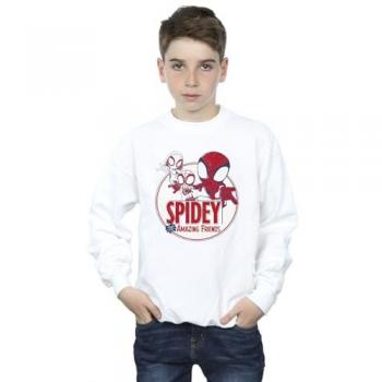 Web‑Slingers Graphic Pullover