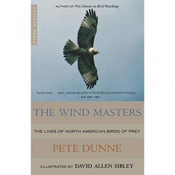 Dunne, Pete: The Wind Masters