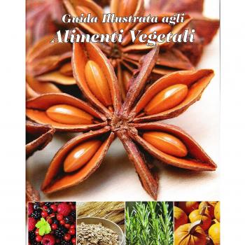 Guida illustrata agli alimenti vegetali