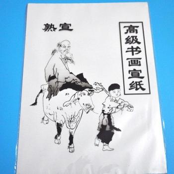 Kunstpapier für chinesische Malerei 30 Blatt