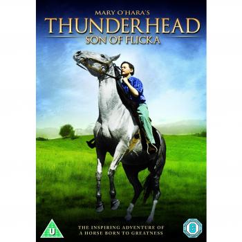 Thunderhead