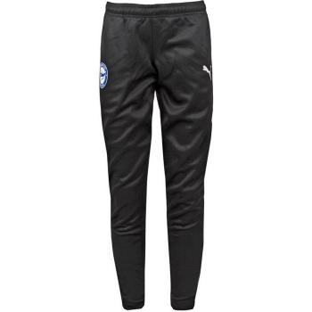 Maglietta Puma Junior 23/2 Team Rise Poly