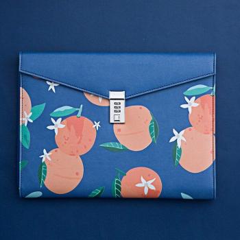 A4 Document Holder with Lock