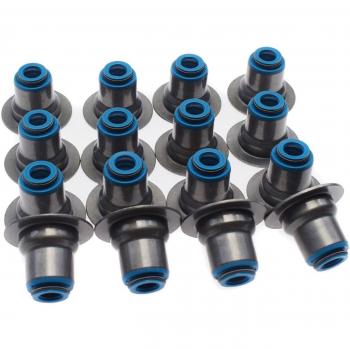 Viton Valve Seals 12482063 for GMC Savana 2500 LS1 LS3 LS6 4.8 5.3 5.7 6.0