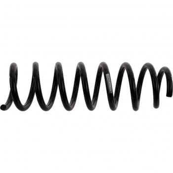 Sachs 993 963 Performance Coil Spring