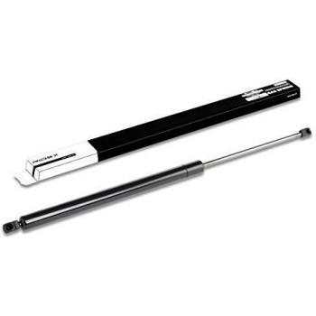 Bagagliaio VW Pistoncini Rivestimento 219G0152