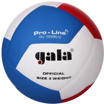 Míč na volejbal Gala Pro-line BV 5595 S
