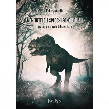 Non tutti gli specchi sono uguali. Misteri e miracoli di Inson Park