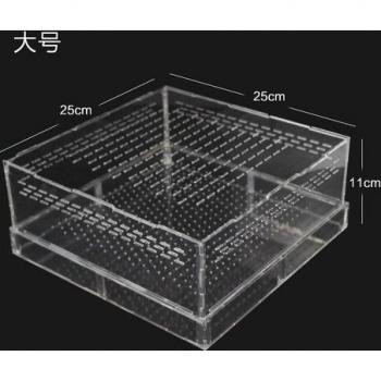 Caja de Insectos para Mascotas