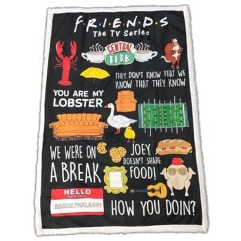 Couverture Sherpa Friends Plaid Ultra-Soft