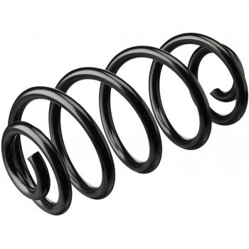 Lesjöfors 4263499 Rear Coil Spring