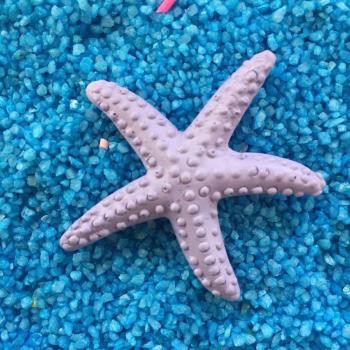 Resin Oceanic Starfish DIY Kit – 5 Mediterranean-Style Eco-Friendly Ornaments