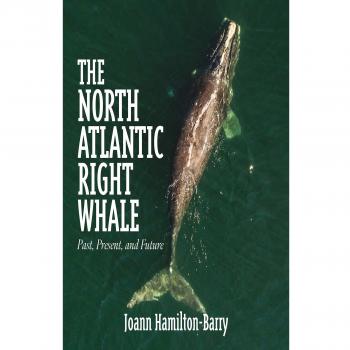 The North Atlantic Right Whale by Joann HamiltonBarry