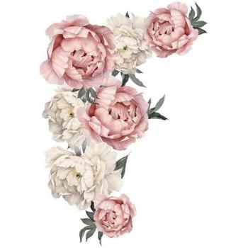 Peony Rose Flowers Kids Room Wall Art