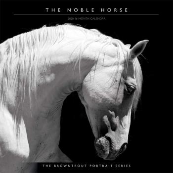 Noble Horse, The 2020 Square Wall Calendar